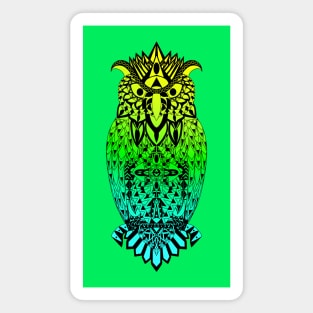 mexican owl in wise pattern ecopop Magnet